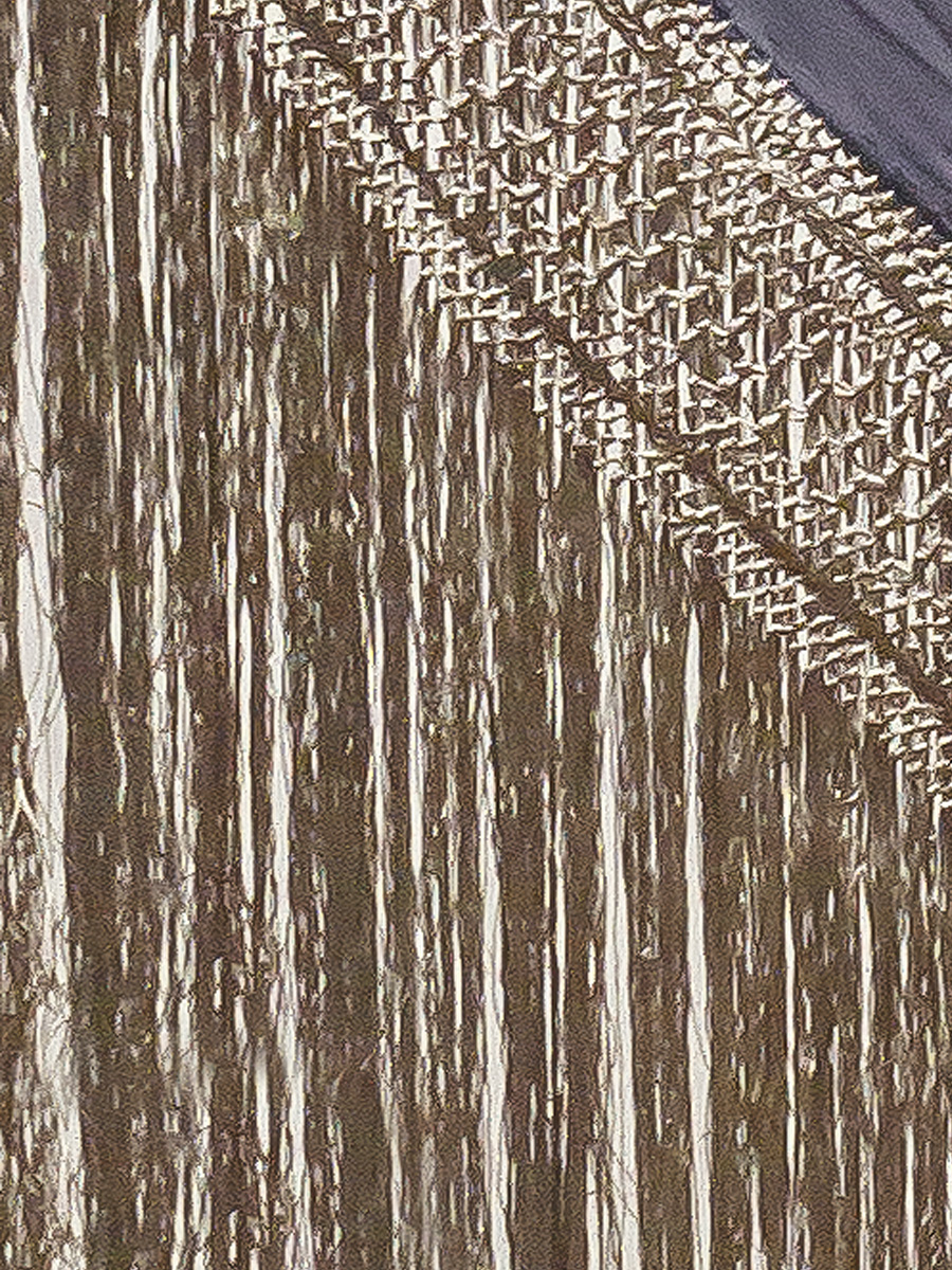 Mantón de Manila bordado a mano de seda natural G500N - Imagen 3