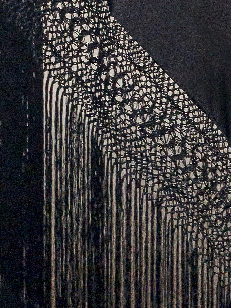 Mantón de Manila bordado a mano de seda natural G690 - Imagen 3