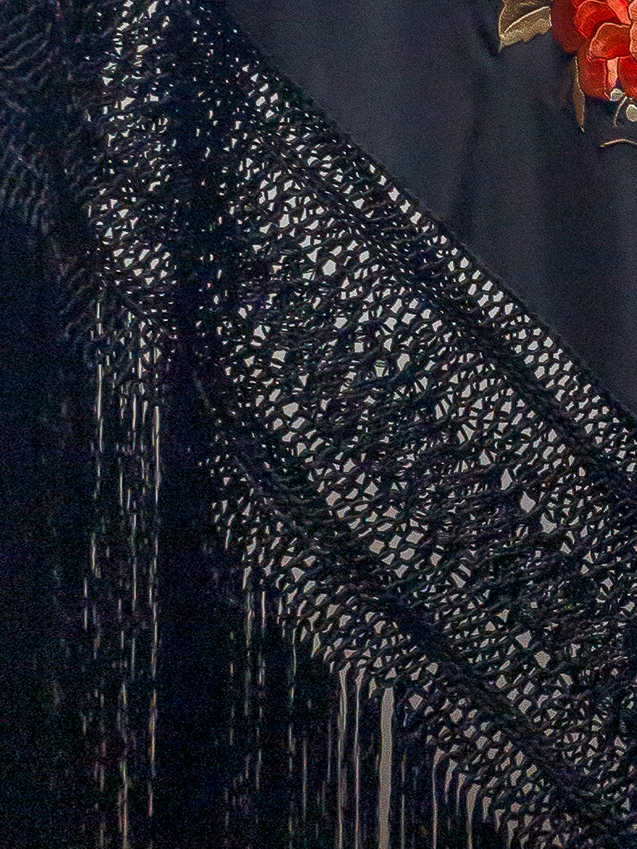 Mantón de Manila bordado a mano de seda natural G691 - Imagen 3